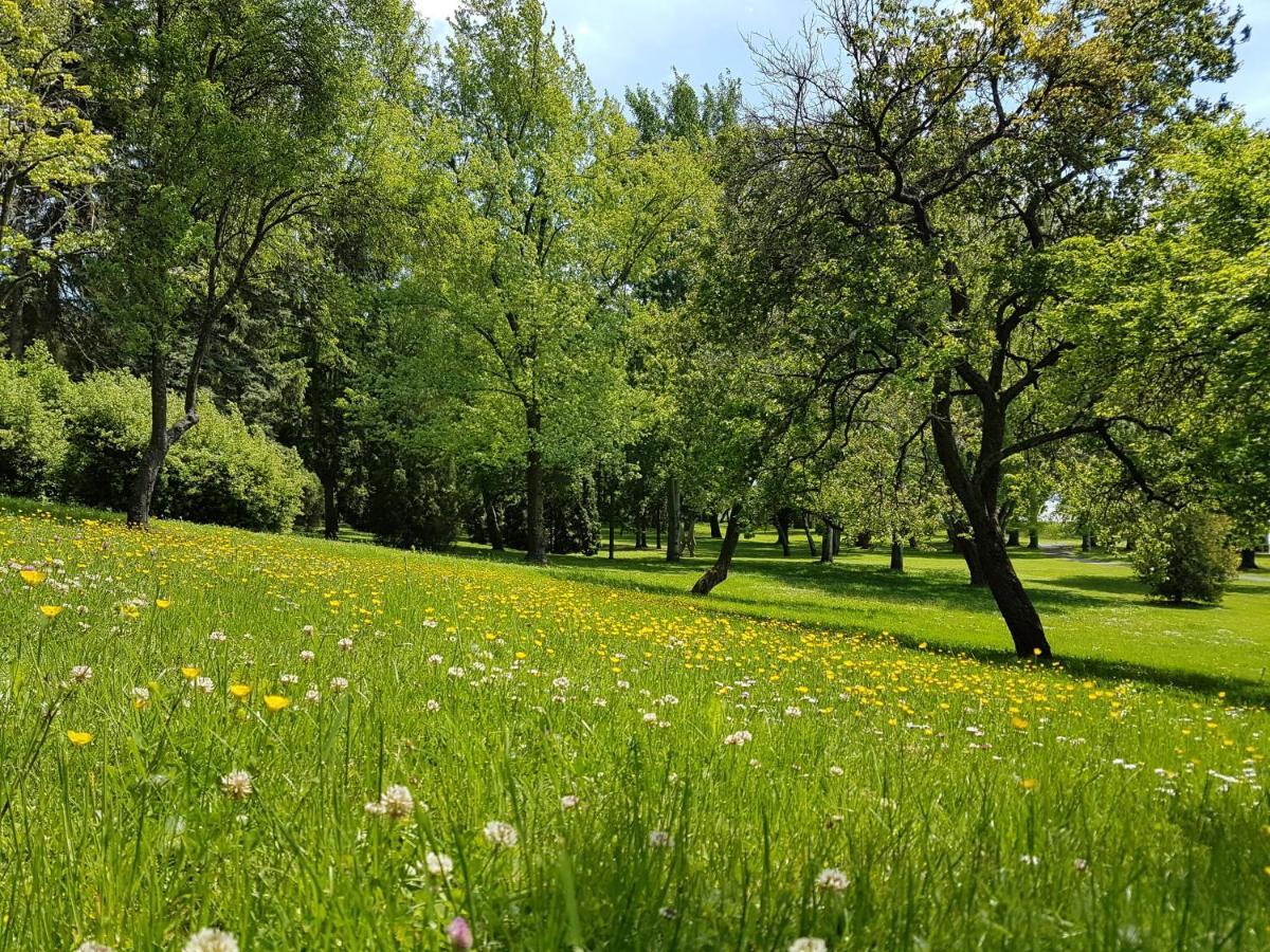 Zanka Vizparti Ueduelo Otel Dış mekan fotoğraf